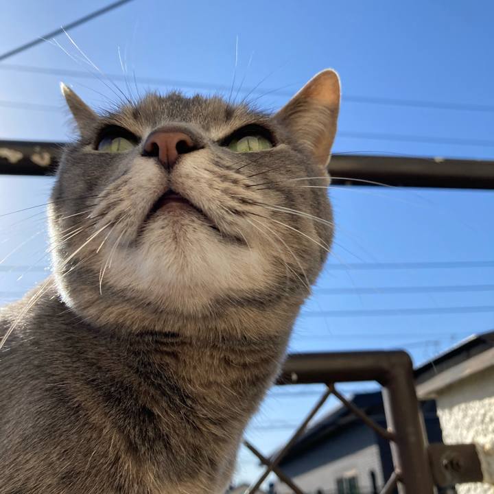 0531e812 1b99 4140 bc3f a373ab72cc20 1709129366838