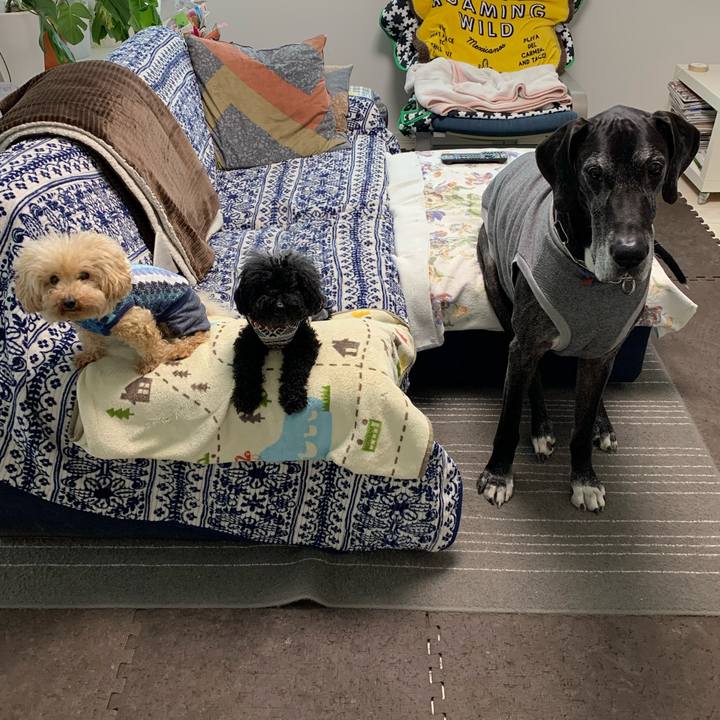 053211be 0822 4910 a7c0 fce6338608ad 1584916574903