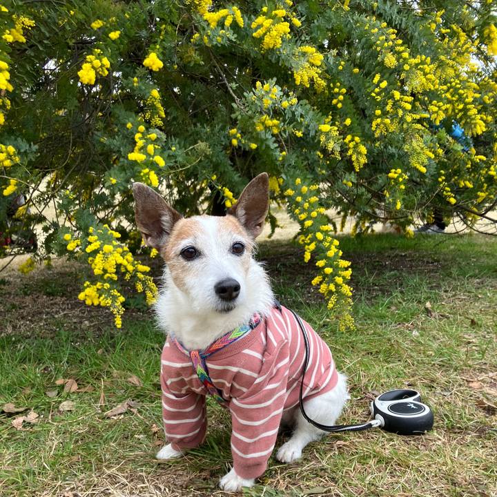 05321548 5dd9 478b b986 d8098e729a92 1742254047195