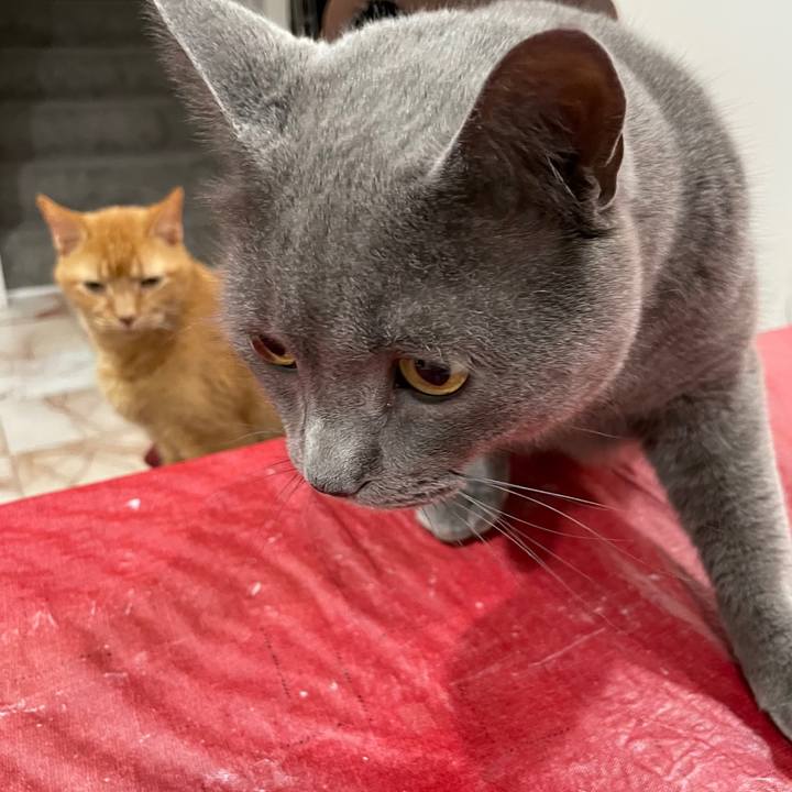 053218c2 84c0 487c a19c b7de566a335c 1694738235770