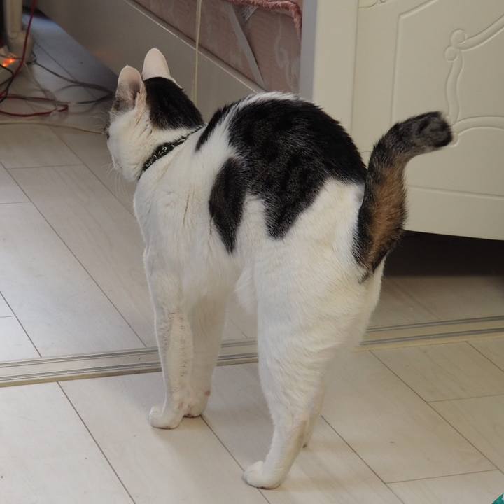 053223bd 4621 4477 82ed 2ae6eb928a46 1554815362838