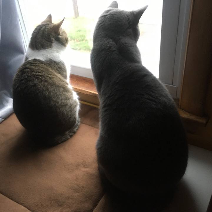 05324023 4991 477e 9d41 5aea8d688aae 1618452614093