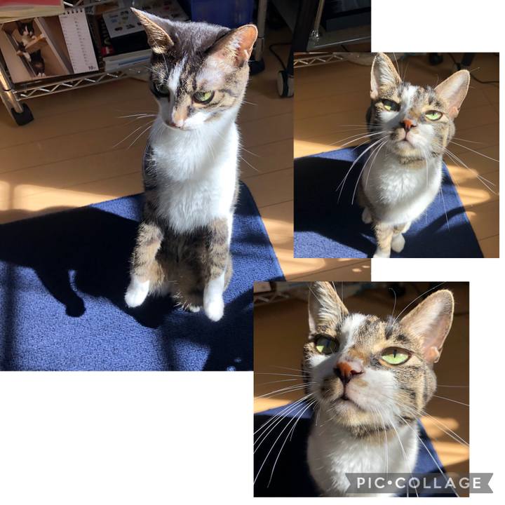 05324d51 7757 48b5 90a2 3f2dfe7b9c97 1635542547526