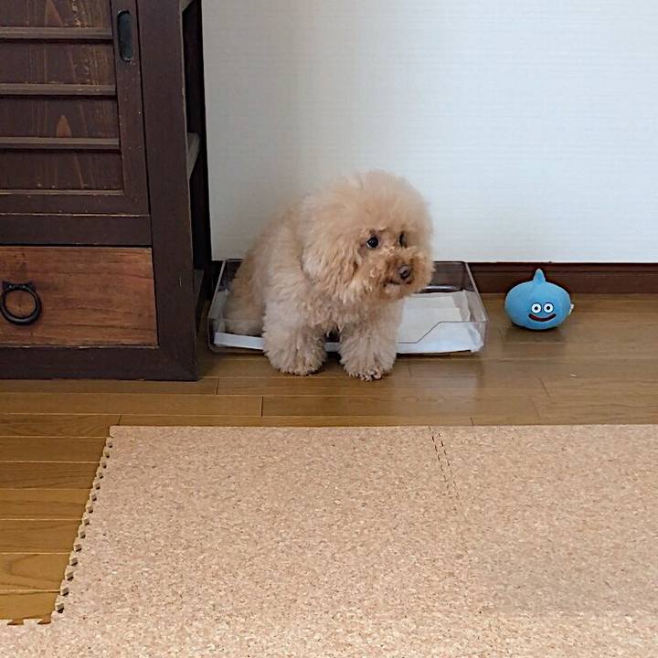 05325e3b 7fa6 42cf bb01 9bebe06a7ff6 1534411215335