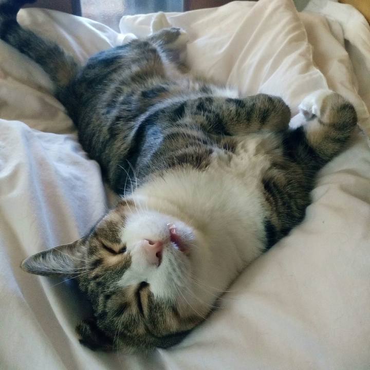 05328c96 f01a 467d a76a 0c0c8b755c4a 1568426025331