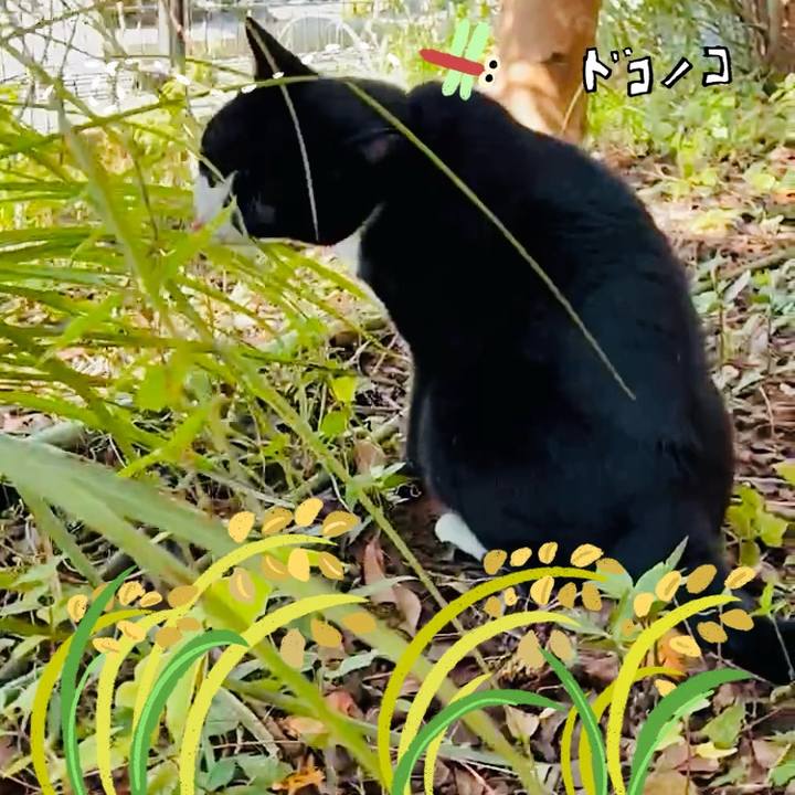 0532bea1 16f7 4c25 9cf8 812d7eb8b040 1761102467168