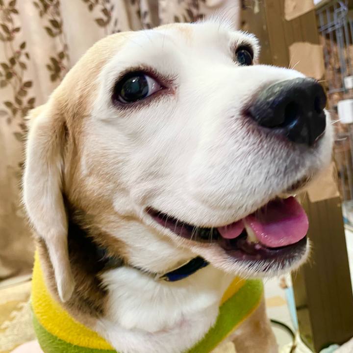 0532c5b6 ed78 452b a82e a6b798616ff7 1609300246081