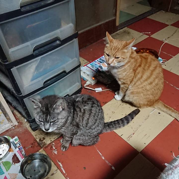 0532f66e 5892 4e5e bd68 df3597d75cd5 1592767082090