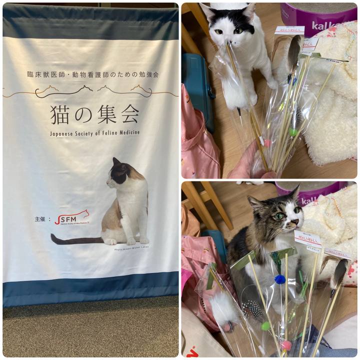 05334c84 d571 4655 bfc3 0dc55b2d242e 1764498589724