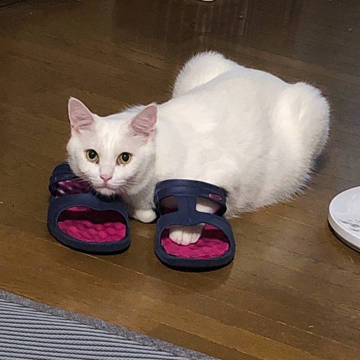 05339174 29e6 4fec 807b 1e92fc7ed787 1658188522742