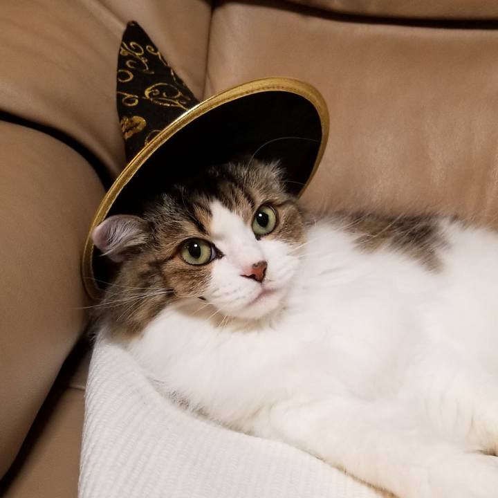 05339db7 0f83 480d b996 c3438cb1da70 1572736264272