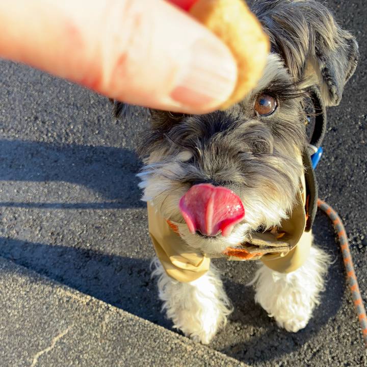 0533f1d0 7ad7 4e54 8355 d510349d7096 1735537600692