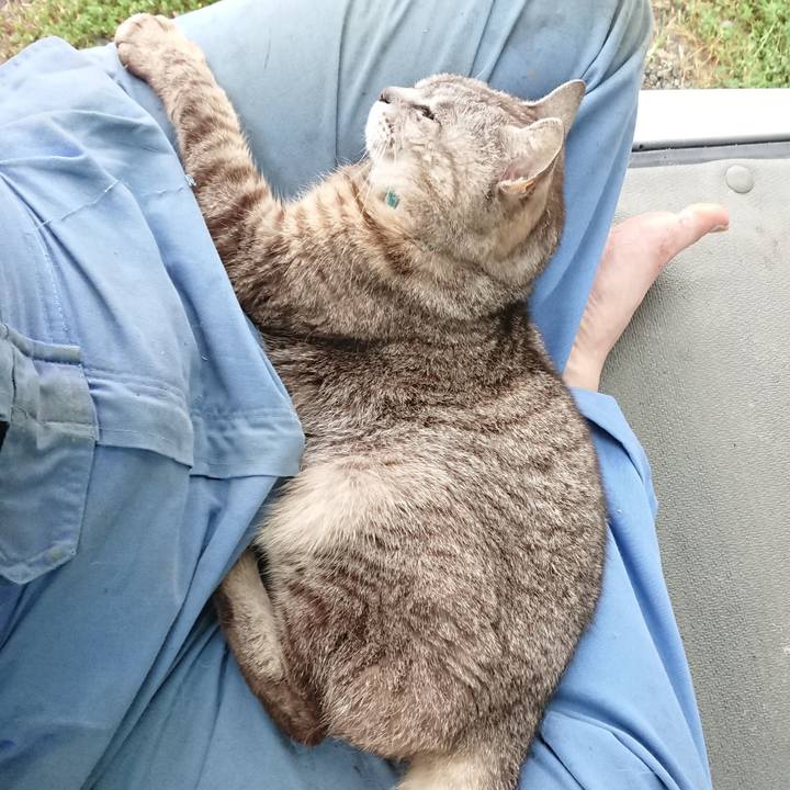 0533f21f 215b 4909 bfc9 ab43f170277f 1563090814612