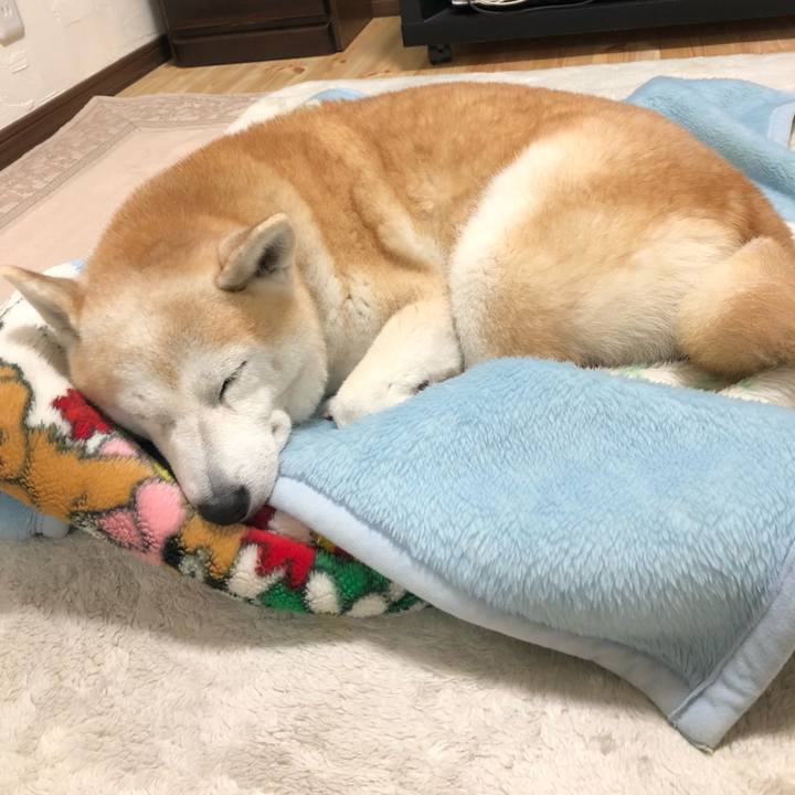 05342ba1 8bb3 4bc5 b02f 7943e73f93de 1542507862462