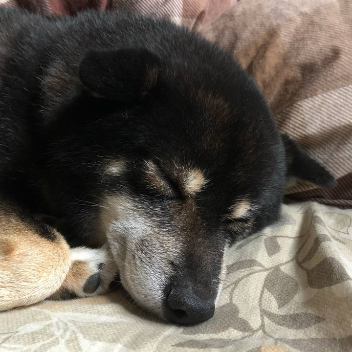 05346163 d121 45c9 9f69 f18fd0c90b3e 1598747246059