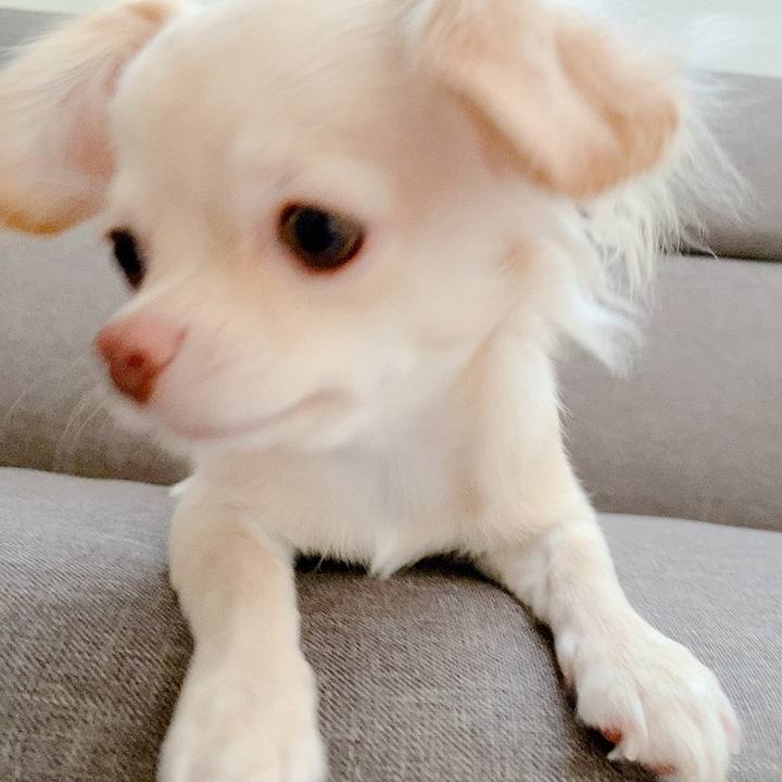 0534aa0e b97c 45c4 bdd6 34da9a020941 1597008267834