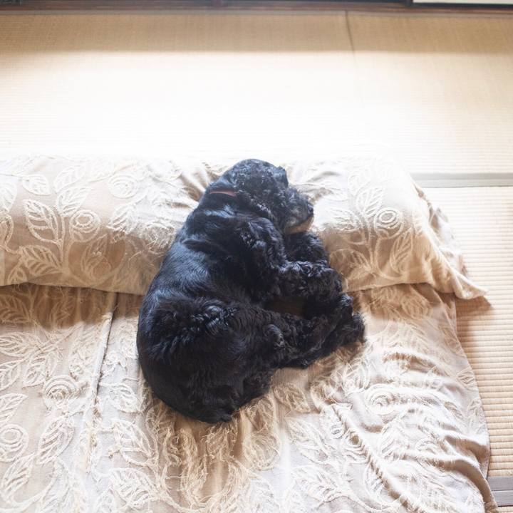 0534f8a0 7fc7 440a 8d5f dc3485ff7d41 1596608079194