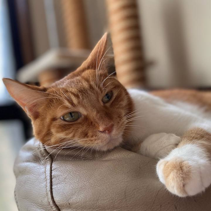 05350736 4abf 4f31 a8d7 90b86876f08f 1631933717271