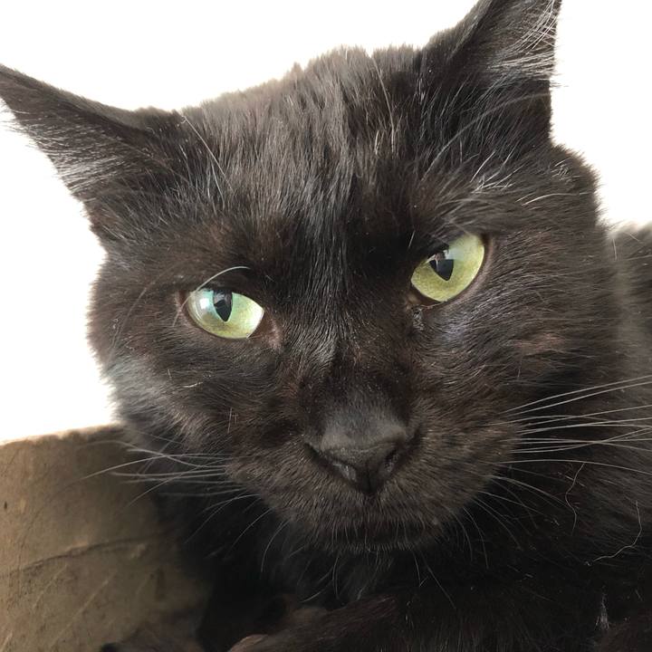 05352735 b67f 4fe6 820d 730064a35a36 1565767516437