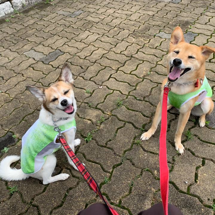 0535bd4e e0fe 4218 88bb f41012ba3135 1594027077182