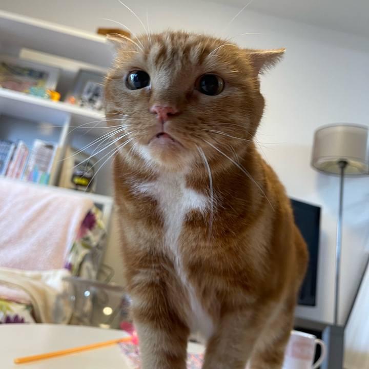 0535c84e 1b4e 49ce 9009 28311dc51a2f 1699771947732