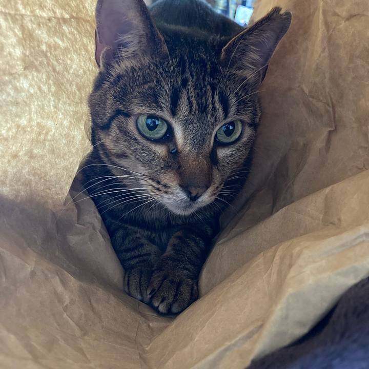 0535ee46 ba7e 4273 8453 64656e5d8d87 1682636331177