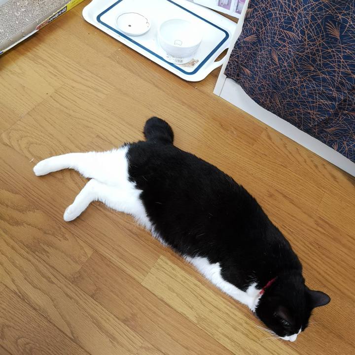 0535f5e8 3579 4b6c 962e a51d0dece8aa 1559374734630