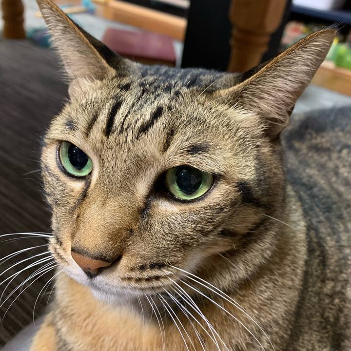 053600b7 d358 49fd afe0 a3de9e076e98 1605577296808