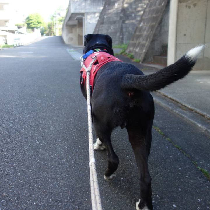 05360caa 4ec4 4ba9 843c 212cf66ad439 1681947207082