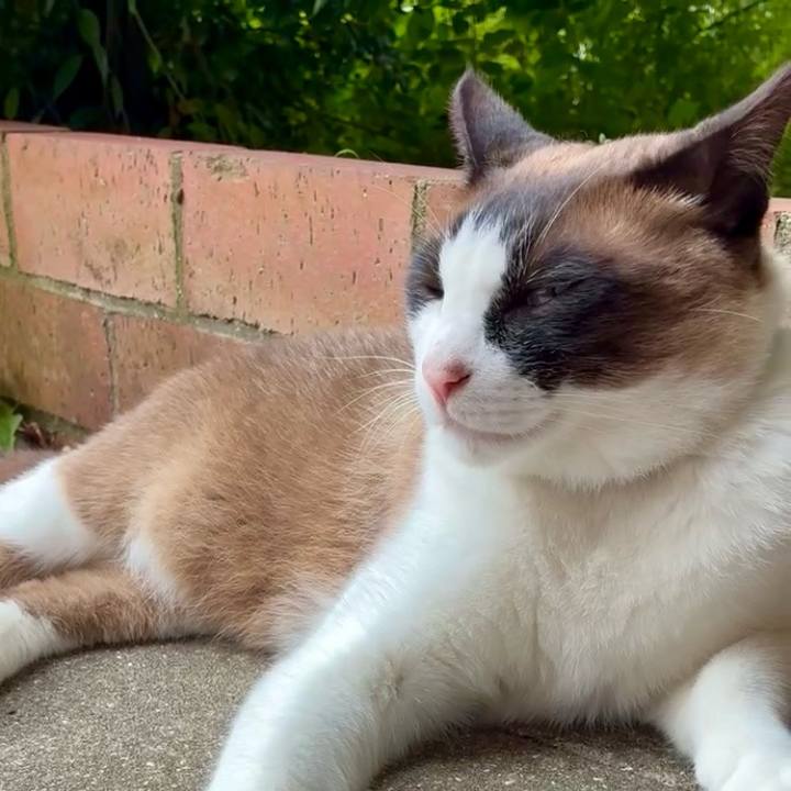 053620c7 5517 435b a336 b855908a9d58 1747797229571