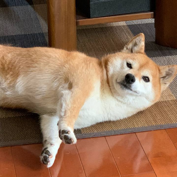 05362eed 3588 4722 94d9 3b419e5f1f5b 1590820445353