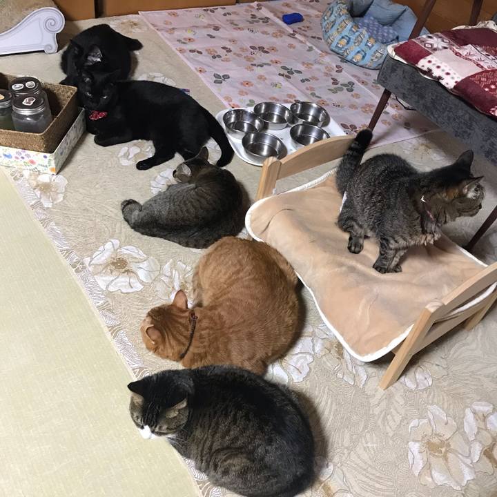 05363924 bbc7 4819 9e7c 5fa85f880f86 1541982436273