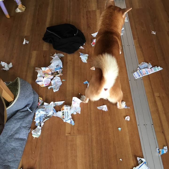 05363a4d a731 4d49 b9a6 9cecc30f9510 1539992379319