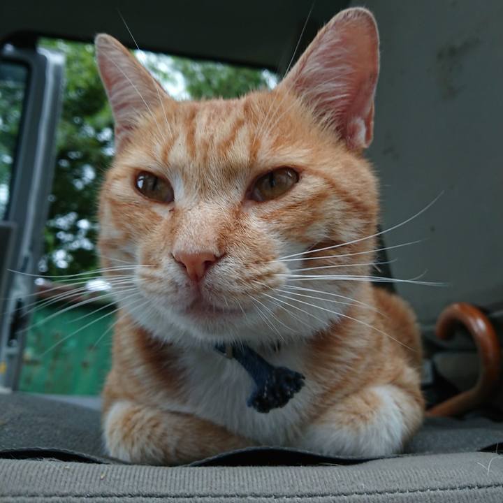 053680a9 5ecb 457e a9da 80c870edc5d4 1563699998138