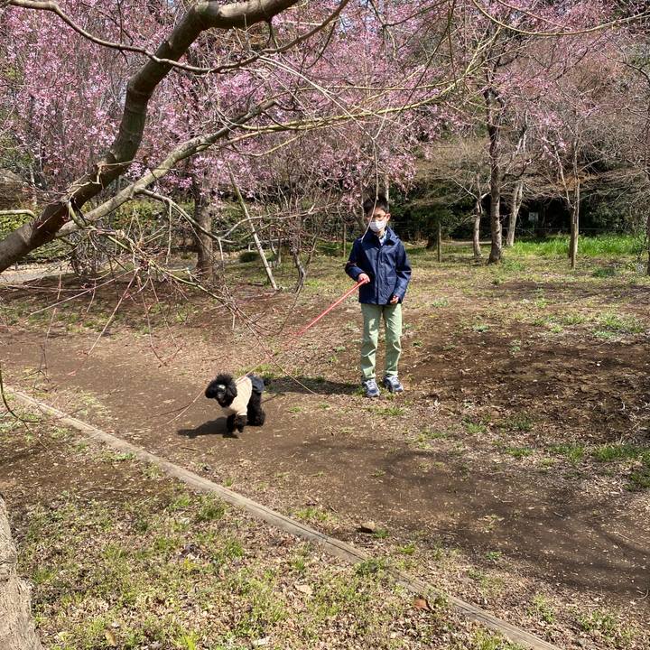 0536acf7 0702 4bea bdac 3dbc5d119f4f 1648187837803