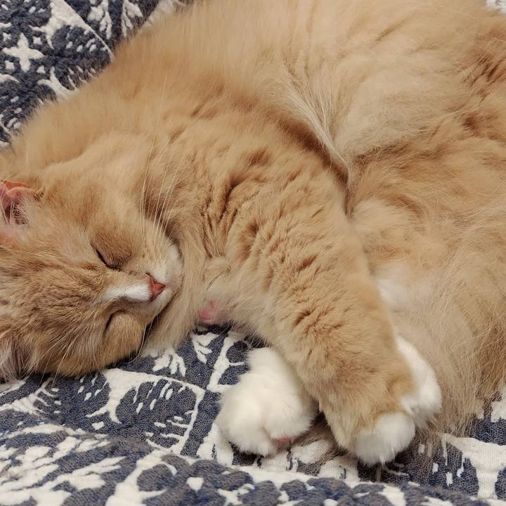 0536d78f 8dea 4141 a4a4 a84f0ce8e02a 1703065927373