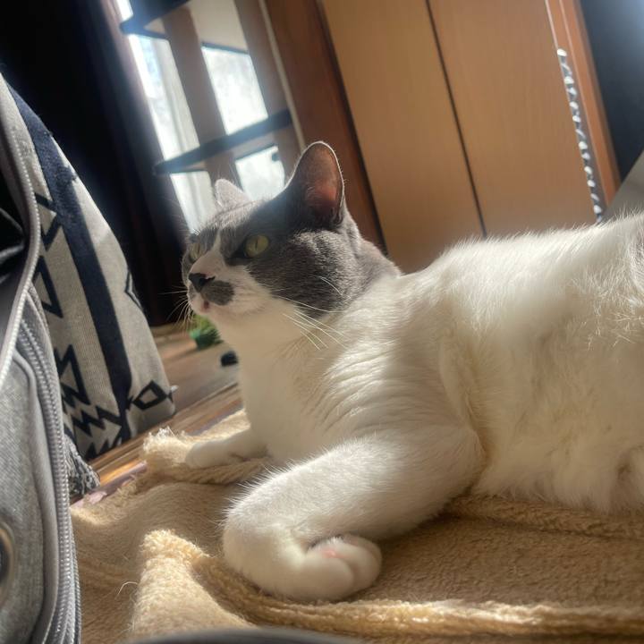 05370671 3882 454b a742 495e78ea993e 1733198910736