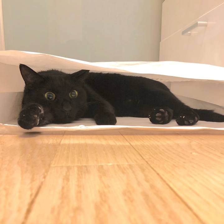 05372942 6241 4351 9a23 822fc8441690 1546592438238