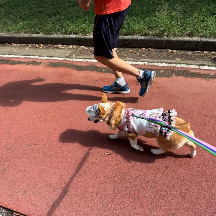 05375a8a f367 4e78 8dd2 0e8532a6044f 1759637341622