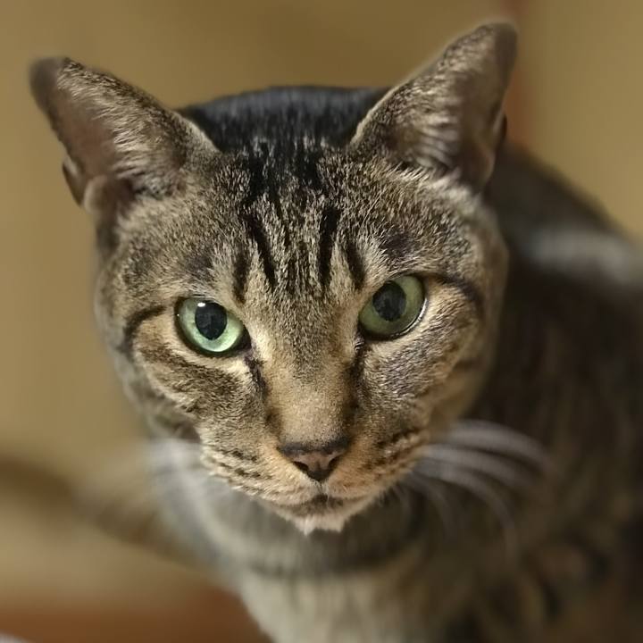 0537607f 4828 487e a066 804caa18966a 1515634535792