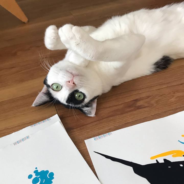 0537b702 a285 4803 ae9a d80651cfd1e3 1564050584271