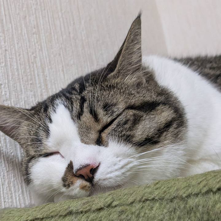 0538012c 6c2f 4196 bf66 d541a34de057 1755736959015