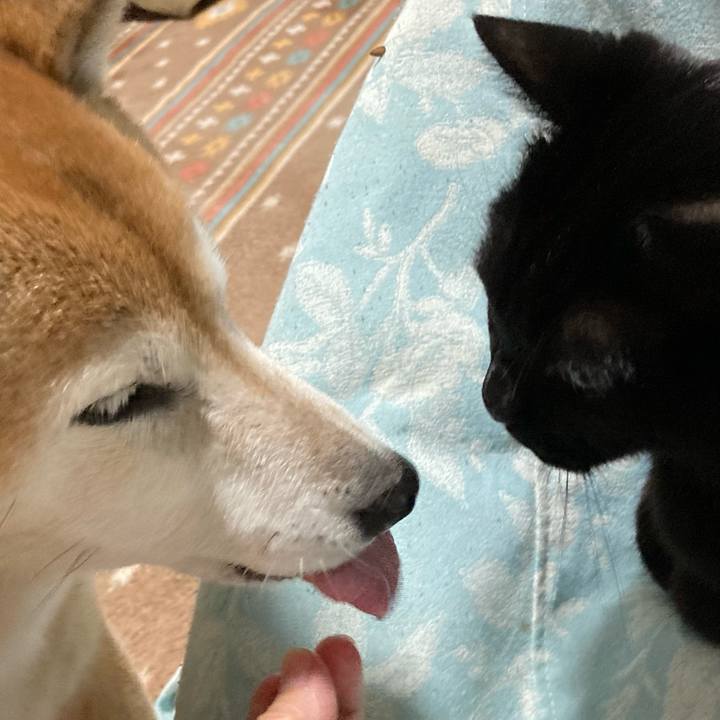 05382412 6d24 4bc4 8beb 7ecb4343b9f1 1763374895650