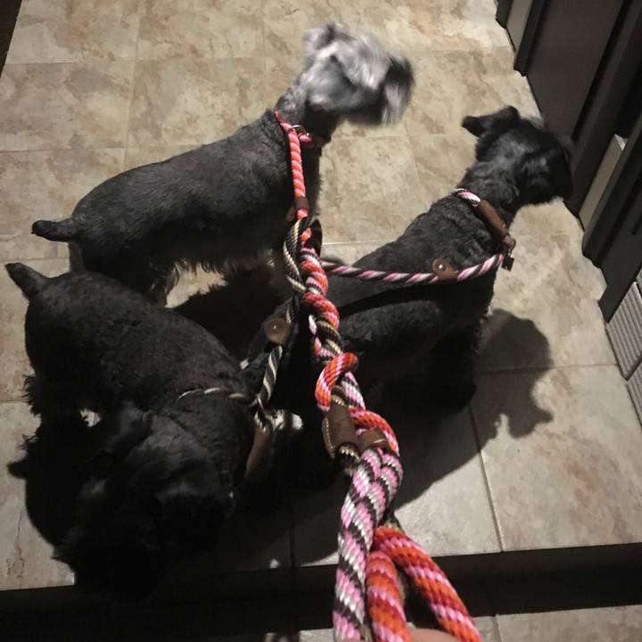 05382d53 b274 4e92 8d85 9809e636f7f6 1509394235918