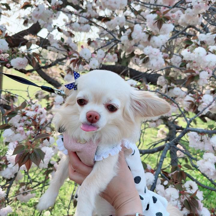 05382eff c551 4b89 9766 1b075cef94a8 1713084412208