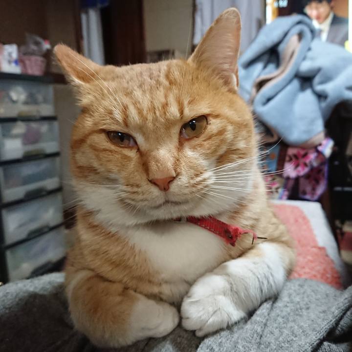 053843b5 d240 4fbe 99c6 67249e0029f8 1575078874286