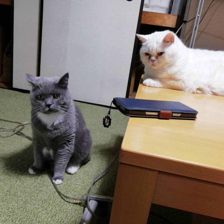 05388ddd 95d3 4a66 a078 e8e993aad9ef 1659017068319