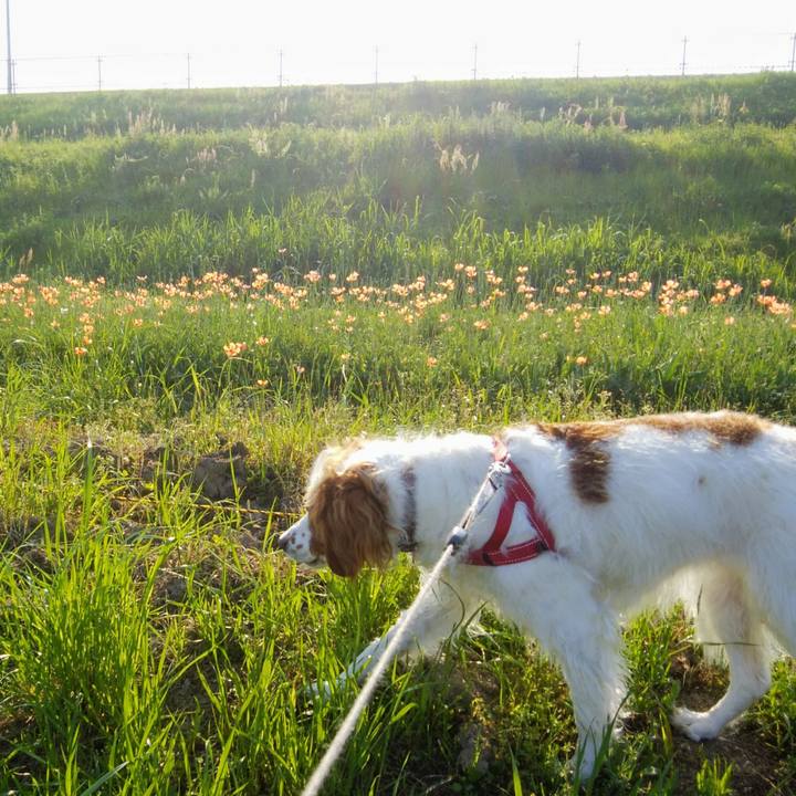 0538b175 9fdf 484e a8a2 3d86e2b40c6b 1557704444217