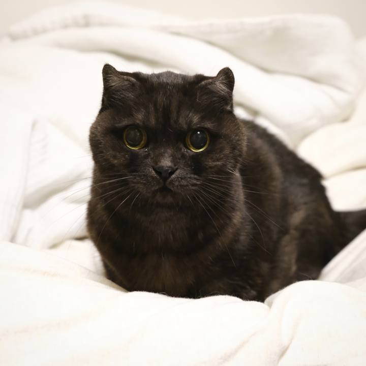 0538cd75 7772 4f26 90f1 4fcb5bd5c465 1642093730954