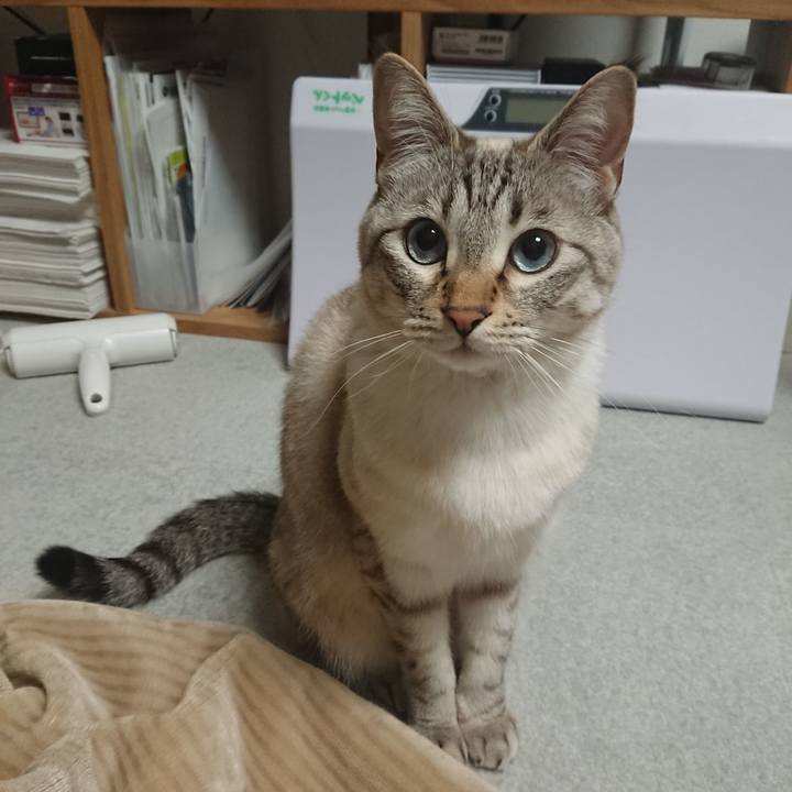 05391447 cda3 4b37 89f8 e53b6a028c6d 1523730456777